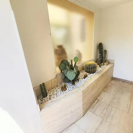 Exceptional 3-room In Quiet Cannes
